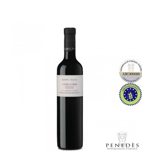 Albet i Noya - Dolç Adrià