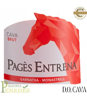 Pagès Entrena - Brut Rosat