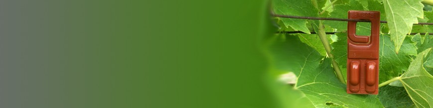 Espumosos Ecológicos y Biodinámicos