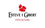 Esteve i Gibert